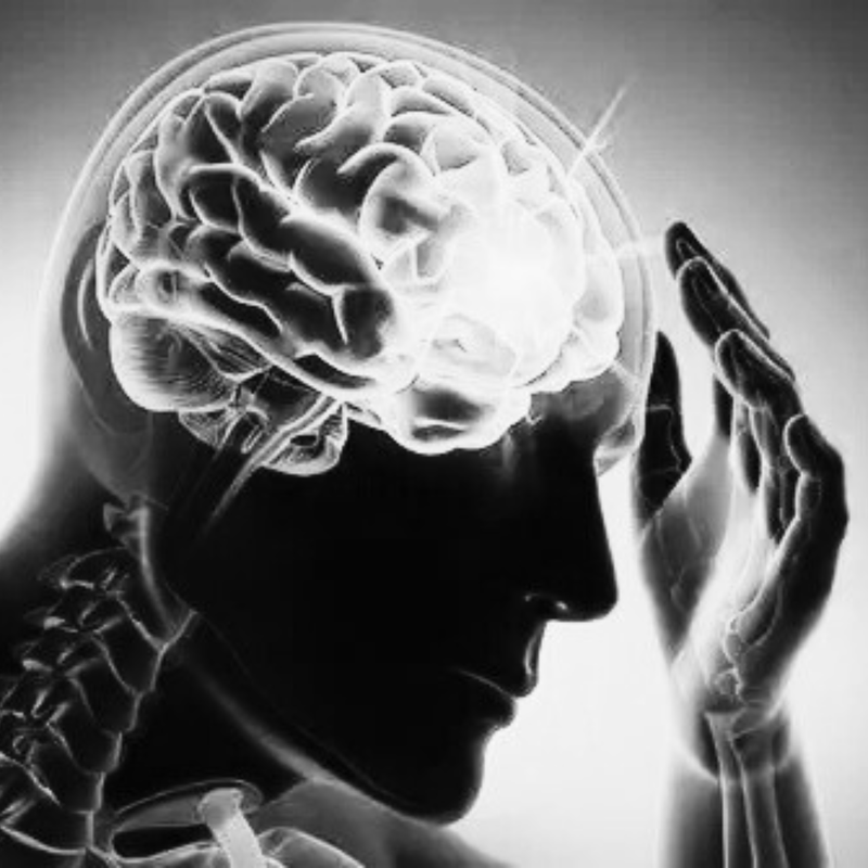 Black and white illustration of a brain with hands gently holding it, symbolizing care or contemplation.