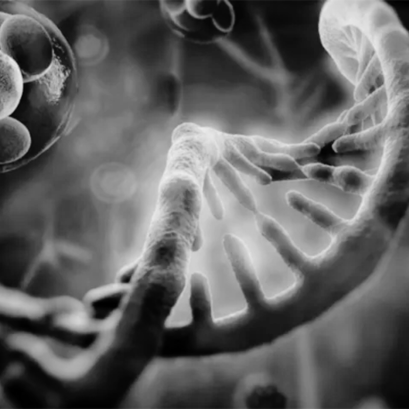 Close-up of a DNA double helix with a blurred background